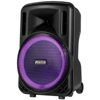 Fenton FT12LED MK2 12″ 700 W – Bafle portátil LED potente
