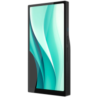 HiBy R6 Pro II 2025 negro – Reproductor Hi‑Res portátil