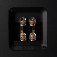 Magnat Signature Center Pro II Black Satin – Altavoz central de cine