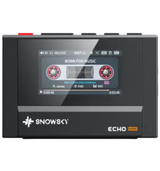 Reproductor Hi‑Res Fiio Snowsky Echo Mini – Audio Retro
