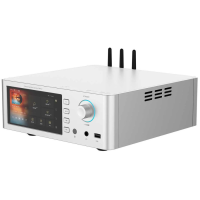 Streamer Hi‑Fi Shanling SM1.3 plata – Audio digital premium