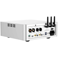 Streamer Hi‑Fi Shanling SM1.3 plata – Audio digital premium