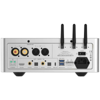 Streamer Hi‑Fi Shanling SM1.3 plata – Audio digital premium