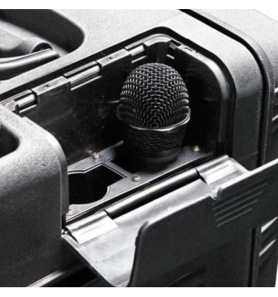 BST PWA320 altavoz portátil 300W con batería y micrófonos