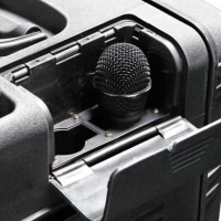 BST PWA320 altavoz portátil 300W con batería y micrófonos