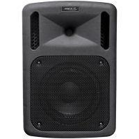 BST PWA320 altavoz portátil 300W con batería y micrófonos