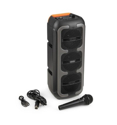 Fenton TRACK310 altavoz fiesta potente con LED