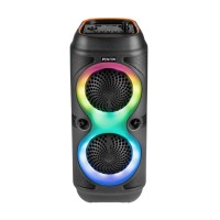 Fenton TRACK210 altavoz fiesta doble 10" con LED