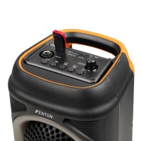 Fenton TRACK210 altavoz fiesta doble 10" con LED