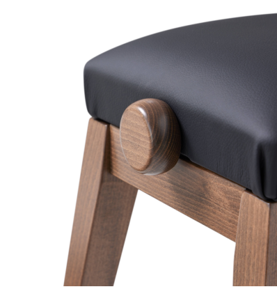 Casio BG50 Vinyl BK banco piano cómodo negro