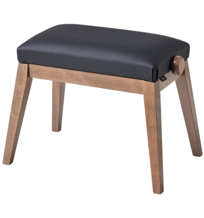 Casio BG50 Vinyl BK banco piano cómodo negro