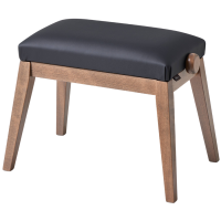 Casio BG50 Vinyl BK banco piano cómodo negro