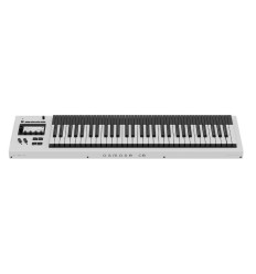 Expressive E Osmose CE 61 controlador MIDI MPE