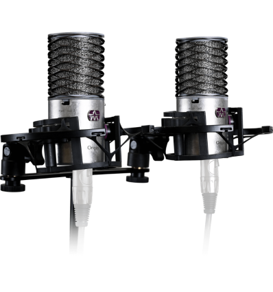 Aston Origin Stereo Pair micrófonos condensador
