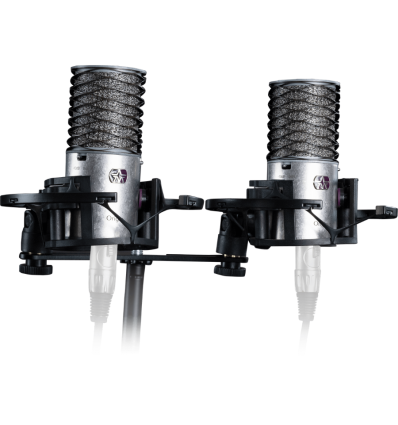 Aston Origin Stereo Pair micrófonos condensador