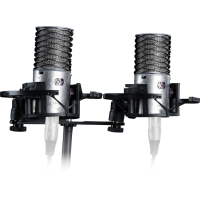 Aston Origin Stereo Pair micrófonos condensador