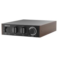 FiiO LEVEL 1 negro | Amplificador Hi-Fi Bluetooth 2x300W