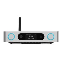 FiiO BR15 R2R Silver DAC Bluetooth Hi-Res con XLR