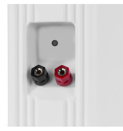 Los POWER DYNAMICS ODS50W tiene un sonido envolvente