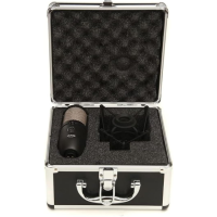 AKG P420 | Micrófono de condensador multipatrón XLR