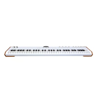 Arturia AstroLab 61 Silver | Teclado de escenario profesional