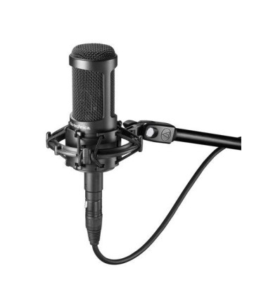 Audio-Technica AT2050 - Micrófono de condensador multipatrón
