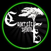 GLOWTRONICS DENON 3700 SLIPMATS CONCRETE JUNGLE deslizador profesional cd pioneer denon