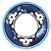 GLOWTRONICS DENON CD SLIPMATS DEAD HEADS deslizador profesional cd pioneer denon GLOWTRONICS DENON CD SLIPMATS DEAD HEADS deslizador profesional cd pioneer denon