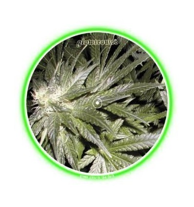 GLOWTRONICS DENON CD SLIPMATS DANKTRONICS deslizador profesional cd pioneer denon