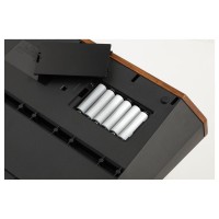 KORG MONOLOGUE PLATA