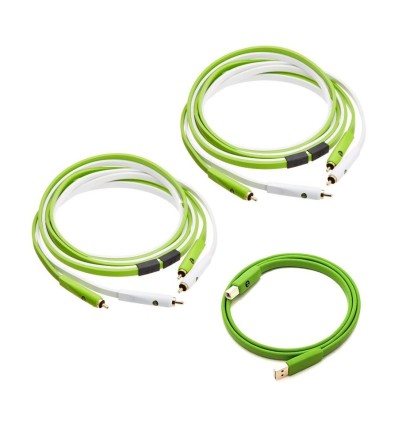 NEO D+ RCA CLASS B STEREO PAREJA + USB 2.0