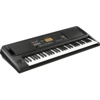 KORG EK-50 teclado profesional características precio