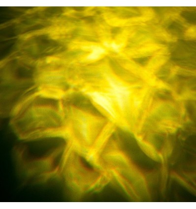 AMERICAN DJ H2O DMX IR efecto led precio características