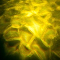 AMERICAN DJ H2O DMX IR efecto led precio características