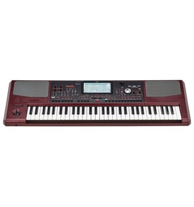 KORG PA1000