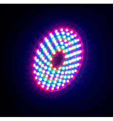 American DJ Rayzer: Efecto LED y láser 2 en 1 para DJs