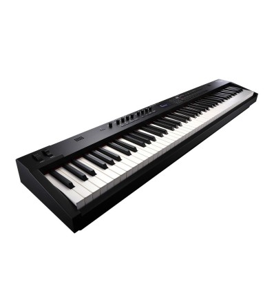 completamente comportarse Hablar ≫ Comprar ROLAND RD-88 - 1179 € | PROFESIONAL DJ®