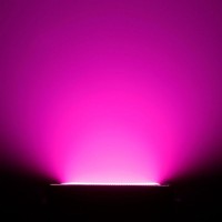 Cameo Thunder Wash 600 RGBW estrobo rápido