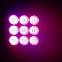 Cameo  FLOOD 600 IP65 proyector LED  para exteriores.