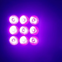 Cameo  FLOOD 600 IP65 proyector LED  para exteriores.