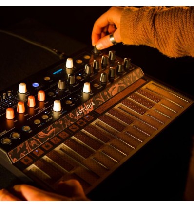 Arturia MicroFreak - Sintetizador híbrido con teclado táctil