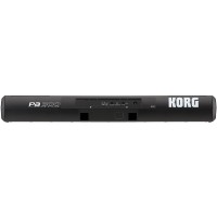 KORG PA-300 teclado interactivo professional arranger de 61 teclas