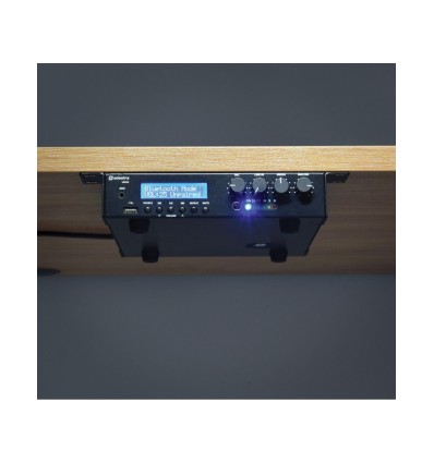 Mezclador de 100V con USB, sintonizador FM y  BT 