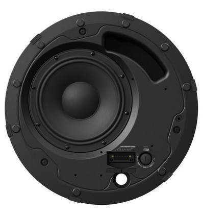 BOSE DM8C-SUB NEGRO