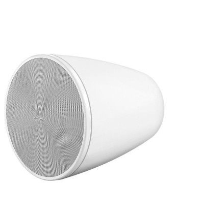 Los BOSE DM6PE son unos altavoces con un gran diseño