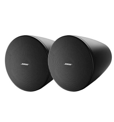 BOSE DM6PE NEGRO