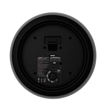 El BOSE DM10P-SUB