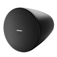 El BOSE DM10P-SUB
