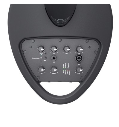 LD SYSTEMS MAUI 5 GO 100 NEGRO