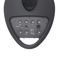 LD SYSTEMS MAUI 5 GO 100 NEGRO LD SYSTEMS MAUI 5 GO 100 NEGRO